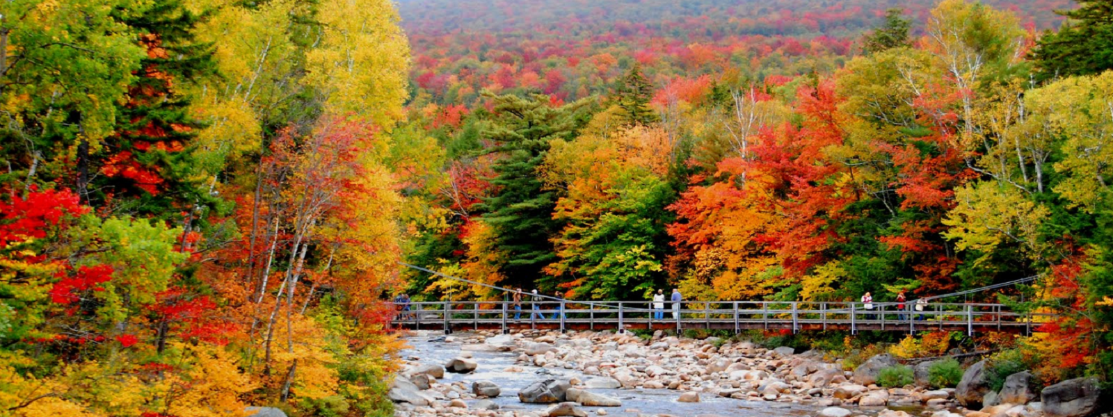 Scenic Views in the White Mountains of NH